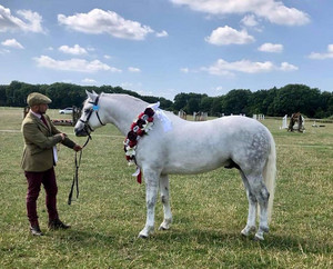 BCPS Breed Show 2021 Photographs 14