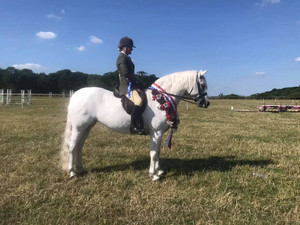 BCPS Breed Show 2021 Photographs 15