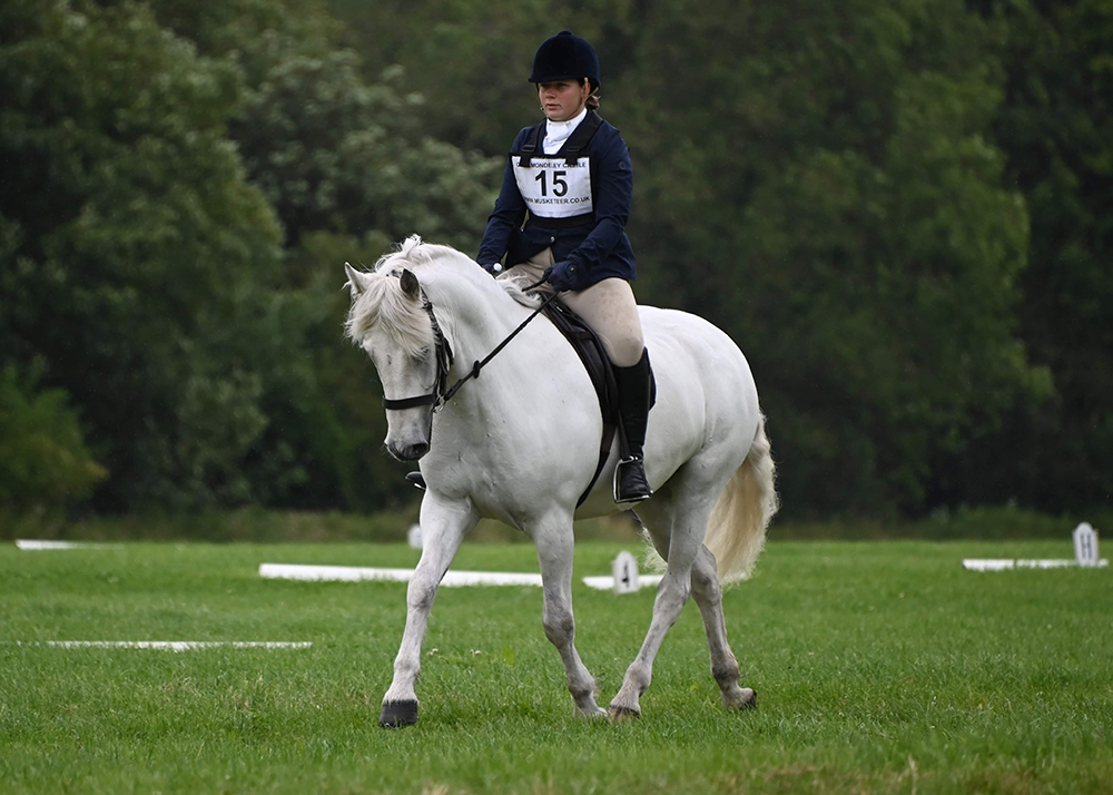 dressage