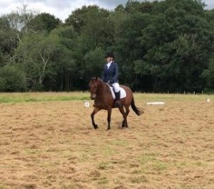 Dressage 3