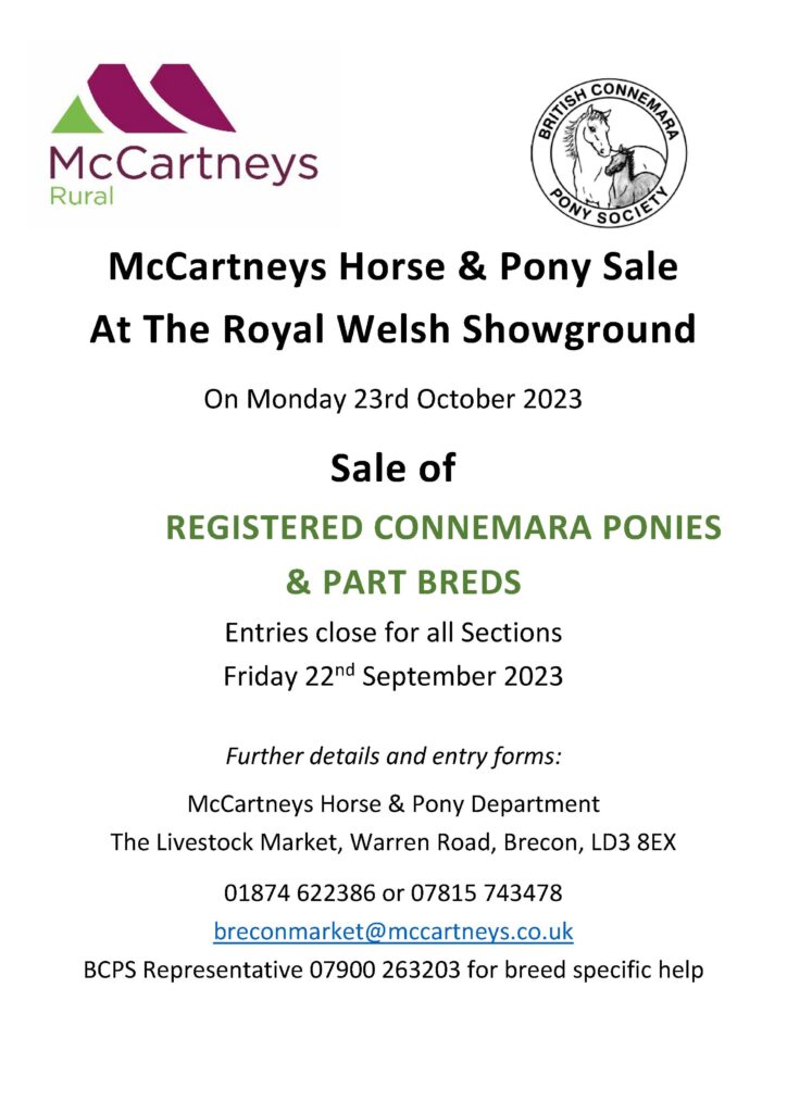 Sale of Connemara Ponies & Part Breds - 23 October 2023