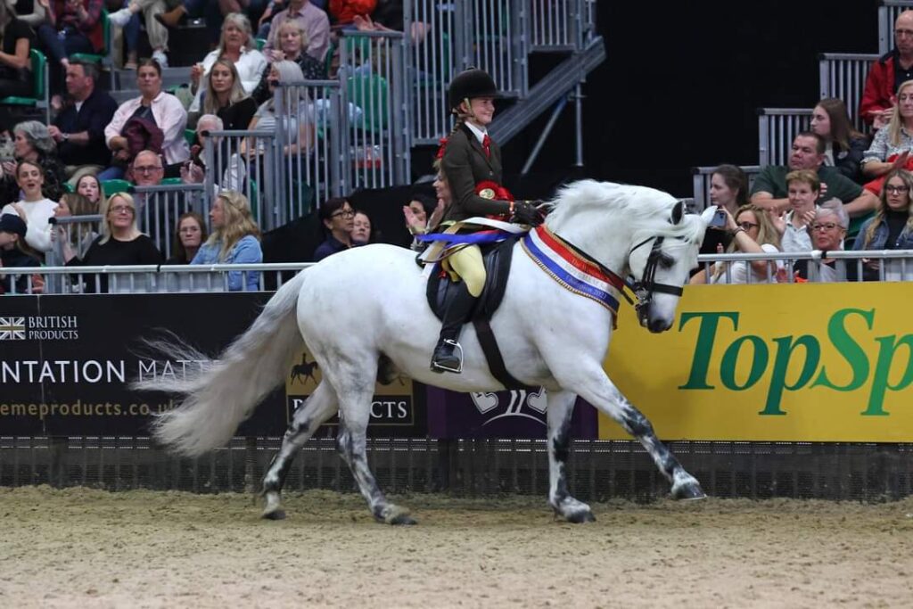 Eastlands Stud success at HOYS